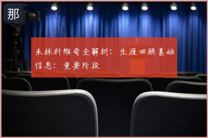 米林科维奇全解析：生涯回顾基础信息：重要阶段